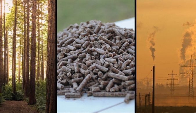 Biomassa: brandstof voor de energietransitie?